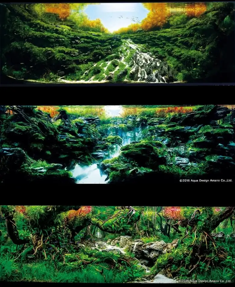 Introduction about Japan Aquascaping Introduction about Japan Aquascaping