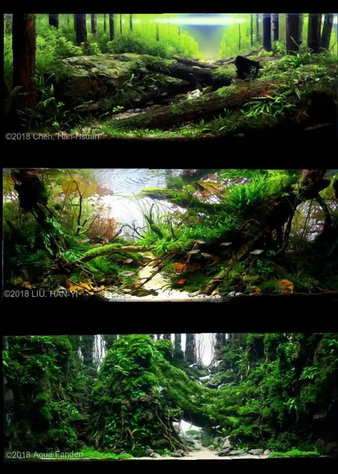 Introduction about Taiwan Aquascaping Introduction about Taiwan Aquascaping