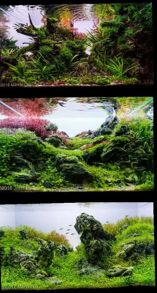 Introduction about USA Aquascaping 