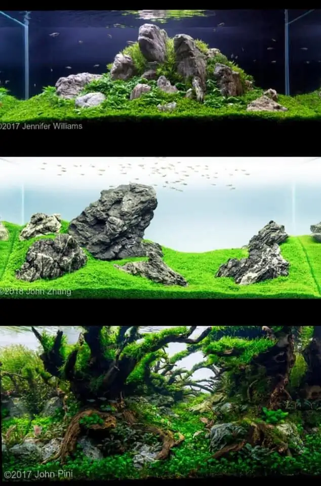 Introduction about USA Aquascaping 