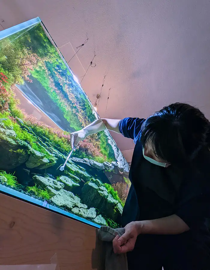 Conversation with Eri Watakushi - IAPLC 2022 Rank 11 Conversation with Eri Watakushi - IAPLC 2022 Rank 11