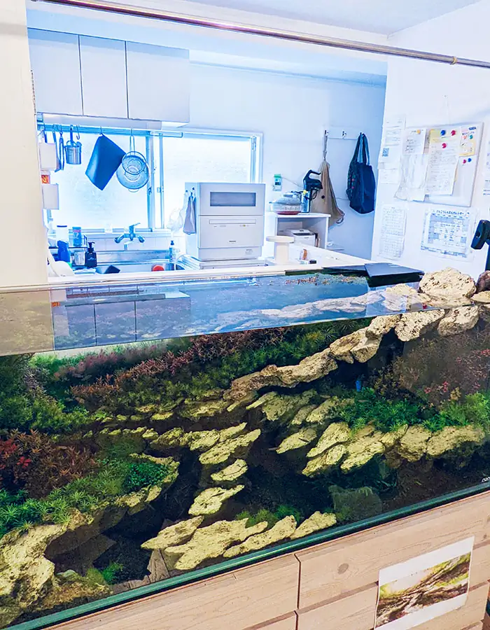 Conversation with Eri Watakushi - IAPLC 2022 Rank 11 Conversation with Eri Watakushi - IAPLC 2022 Rank 11