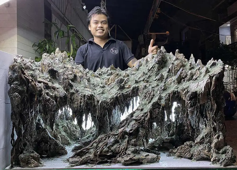 New amazing aquascapes from Nguyen Minh Toan / VietNam