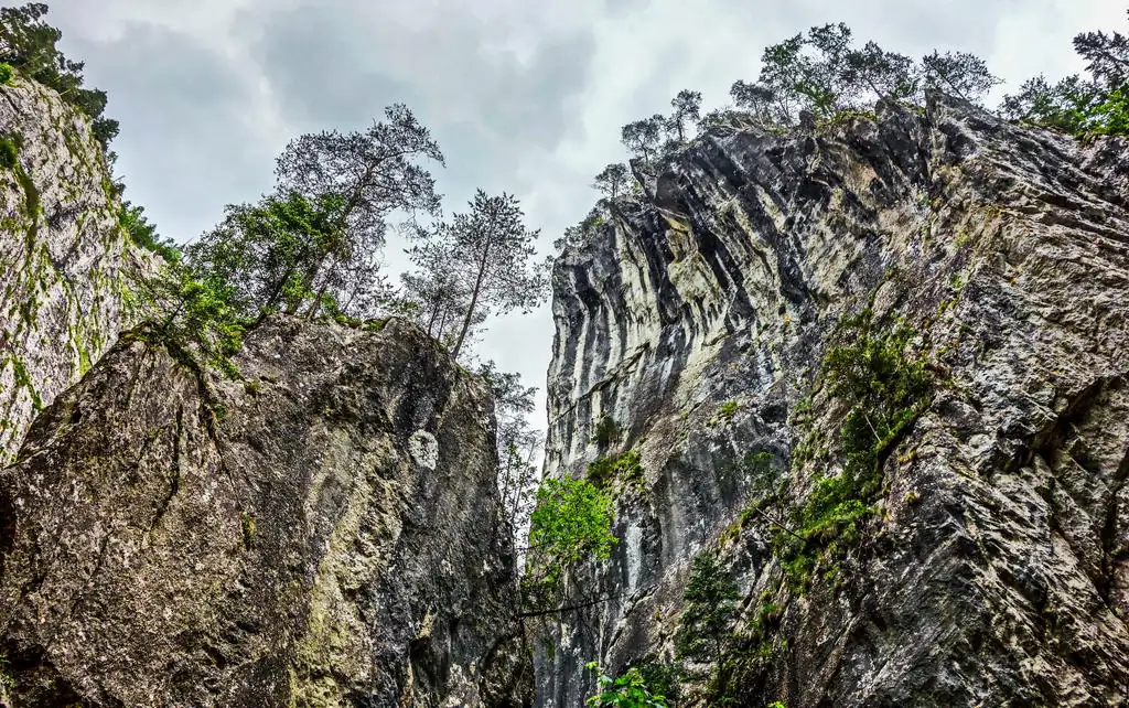 Some ideas for Aquascaping Your Tank