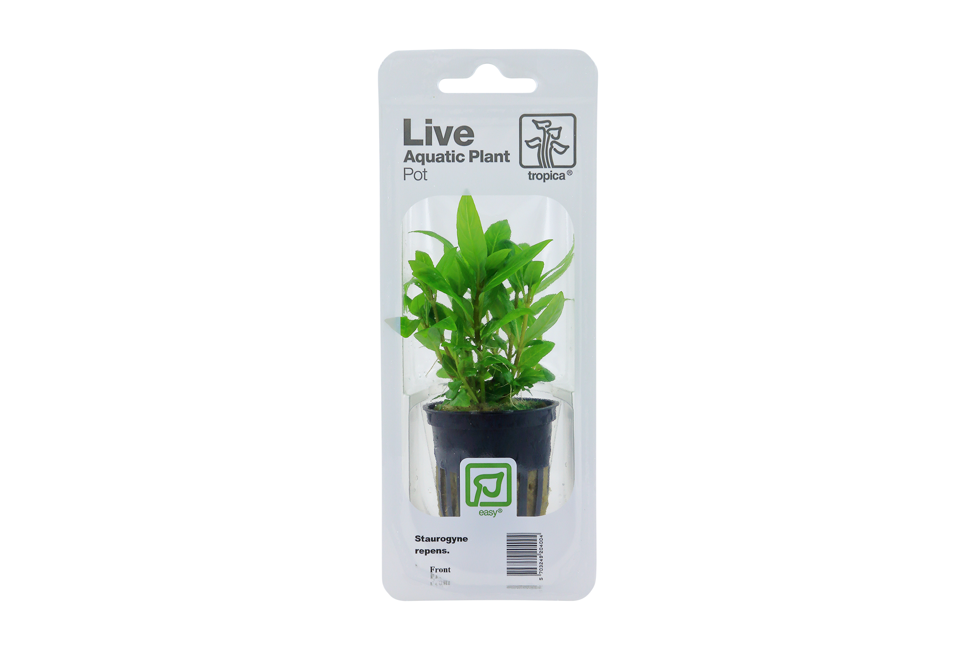 Choose midground plants to connect hardscape and open water